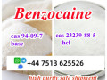 cas-94-09-7-benzocaine-base-powder-cas-23239-88-5-benzocaine-hcl-high-purity-small-0