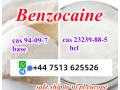 cas-94-09-7-benzocaine-base-powder-cas-23239-88-5-benzocaine-hcl-high-purity-small-1