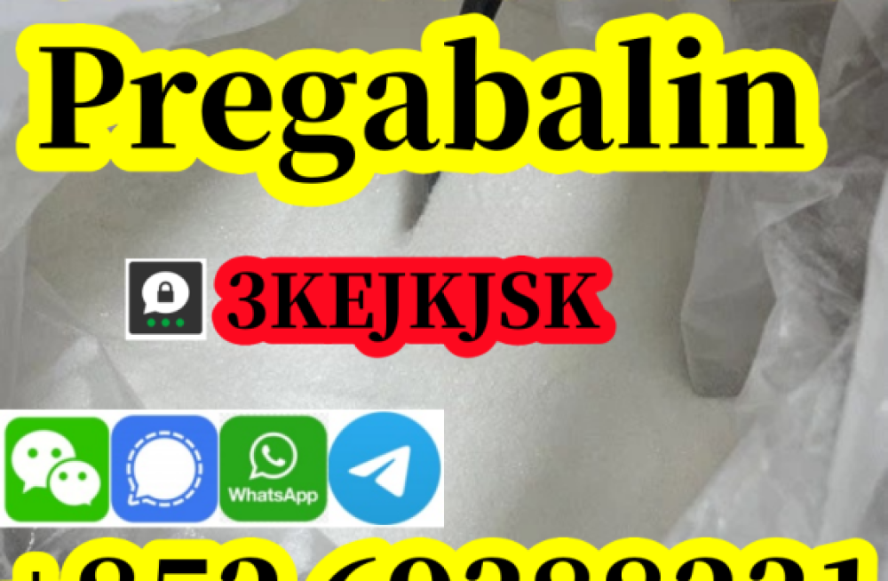 quality-assured-pregabalin-99-purity-cas-148553-50-8-china-manufacturer-big-1