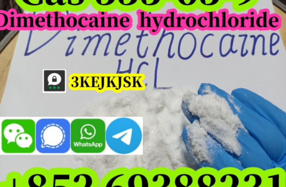 quality-guaranteed-dimethocaine-powder-cas-94-15-5-dimethocaine-hcl-cas-553-63-9-big-0