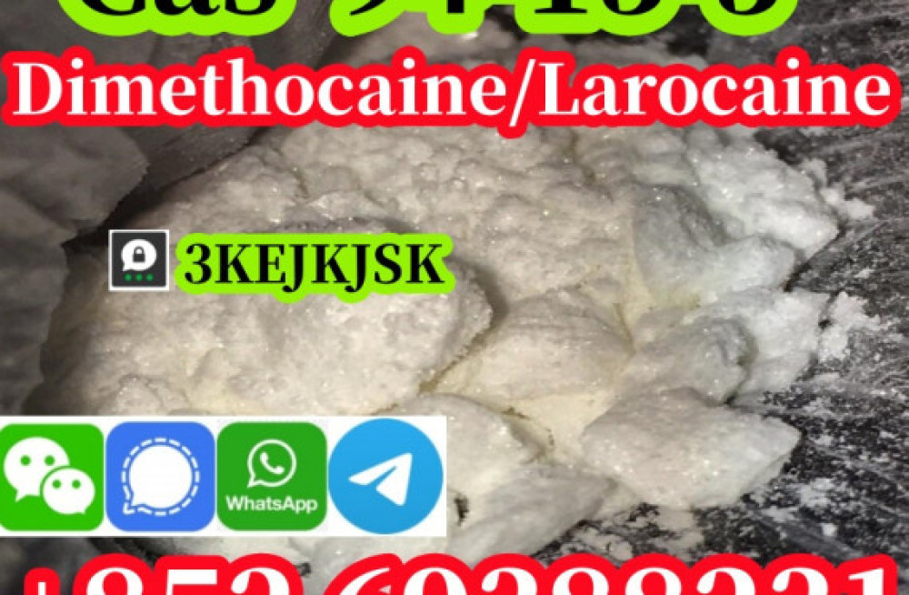 quality-guaranteed-dimethocaine-powder-cas-94-15-5-dimethocaine-hcl-cas-553-63-9-big-1