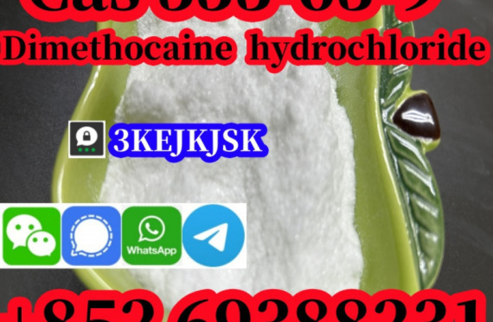 quality-guaranteed-dimethocaine-powder-cas-94-15-5-dimethocaine-hcl-cas-553-63-9-big-4