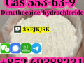 quality-guaranteed-dimethocaine-powder-cas-94-15-5-dimethocaine-hcl-cas-553-63-9-small-2