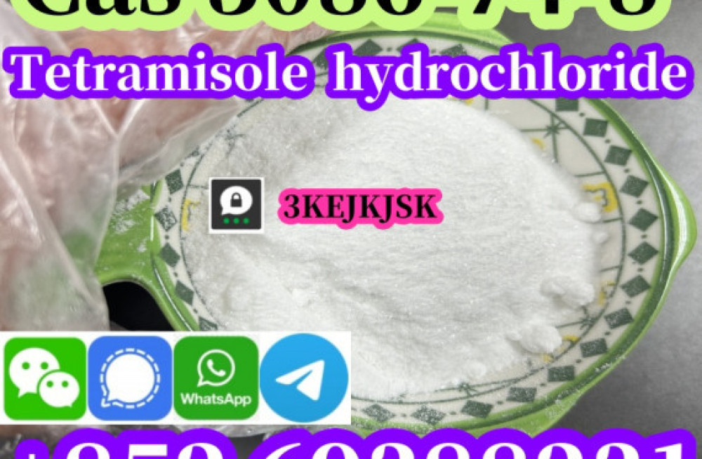 tetramisole-hydrochloride-powder-cas-5086-74-8-quality-guaranteed-best-service-big-1