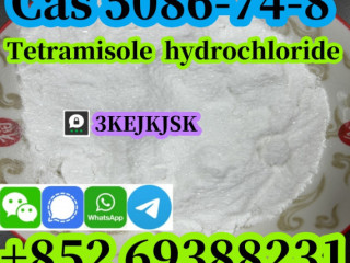 Tetramisole hydrochloride powder Cas 5086-74-8 quality guaranteed best service