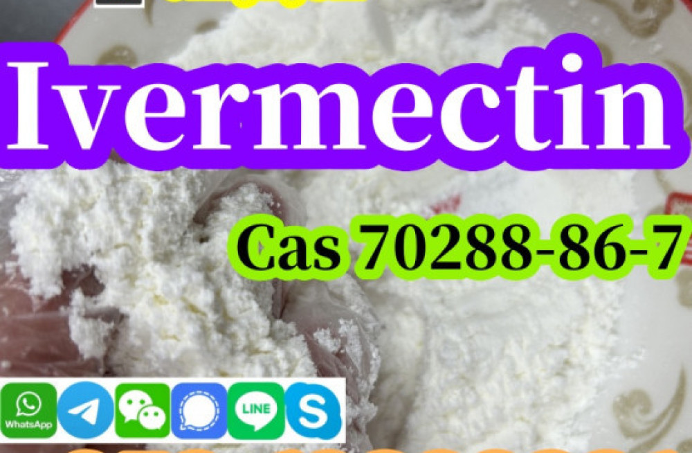 china-factory-supply-ivermectin-cas-70288-86-7-pure-99-door-to-door-delivery-big-4