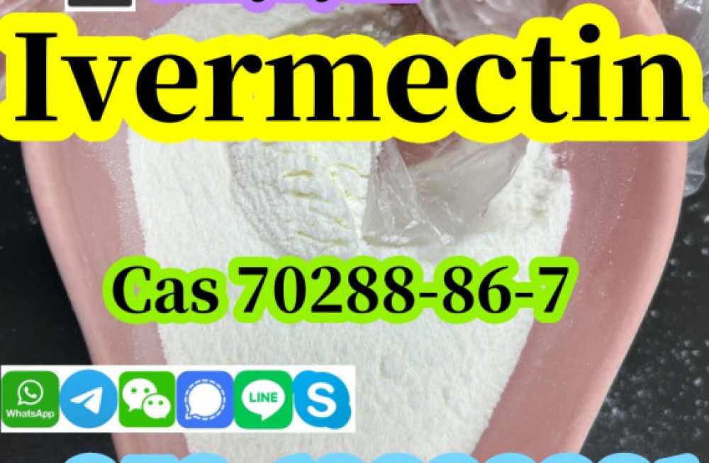 china-factory-supply-ivermectin-cas-70288-86-7-pure-99-door-to-door-delivery-big-2