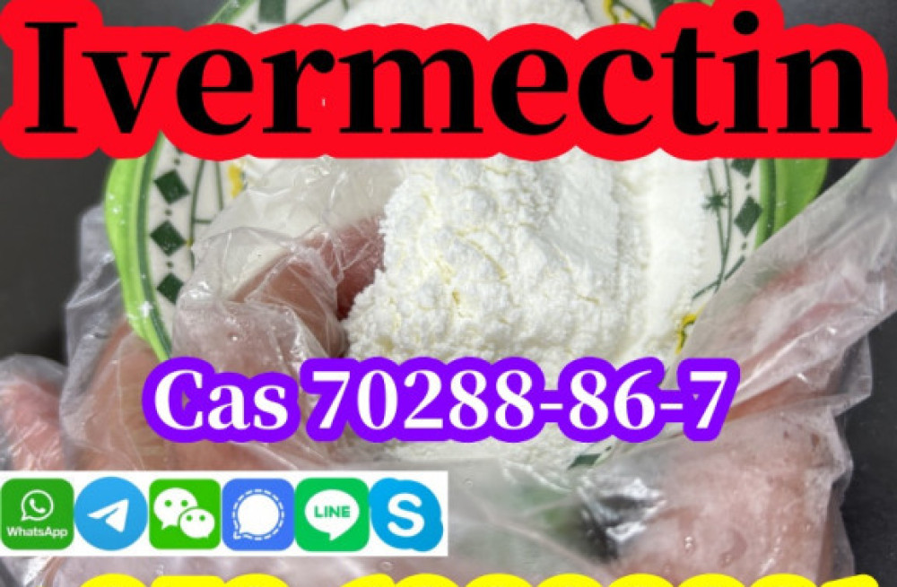 china-factory-supply-ivermectin-cas-70288-86-7-pure-99-door-to-door-delivery-big-1