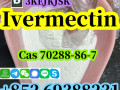 china-factory-supply-ivermectin-cas-70288-86-7-pure-99-door-to-door-delivery-small-2