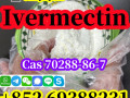 china-factory-supply-ivermectin-cas-70288-86-7-pure-99-door-to-door-delivery-small-1