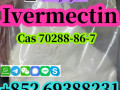 china-factory-supply-ivermectin-cas-70288-86-7-pure-99-door-to-door-delivery-small-0