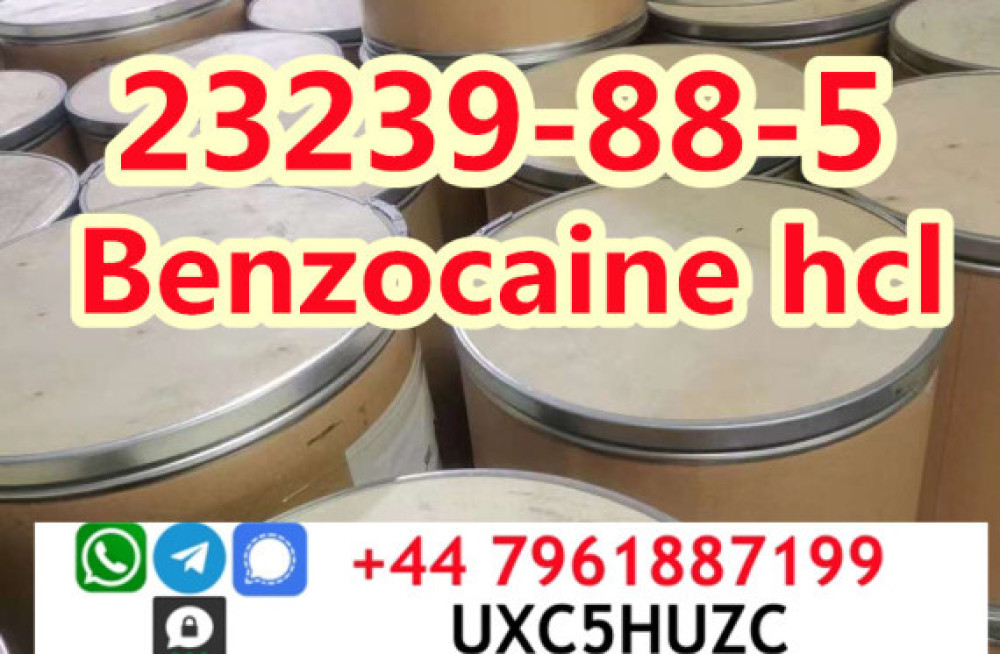 cas-23239-88-5-benzocaine-hydrochloridehcl-factory-direct-supply-big-1