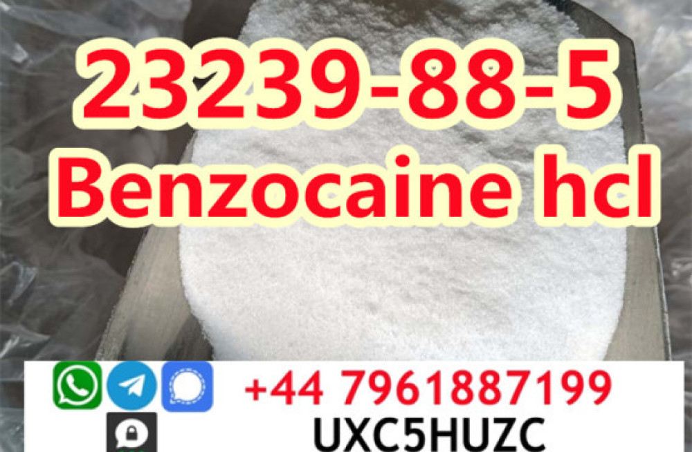 cas-23239-88-5-benzocaine-hydrochloridehcl-factory-direct-supply-big-4