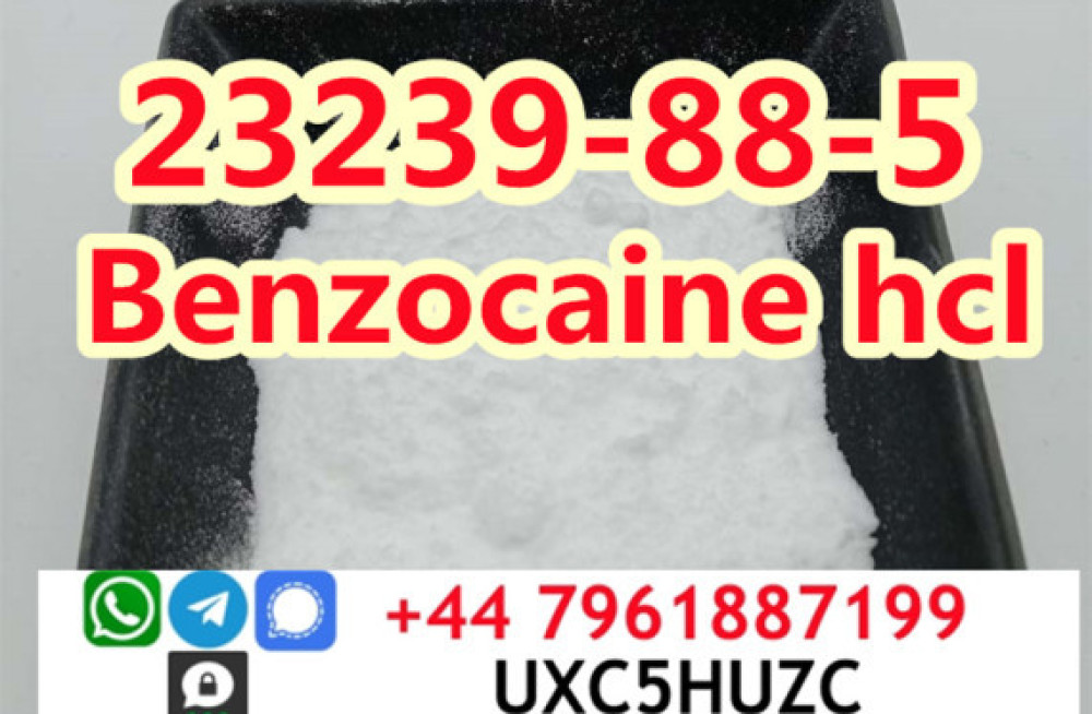 cas-23239-88-5-benzocaine-hydrochloridehcl-factory-direct-supply-big-2