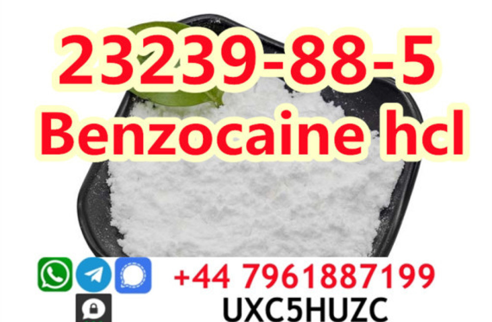 cas-23239-88-5-benzocaine-hydrochloridehcl-factory-direct-supply-big-3