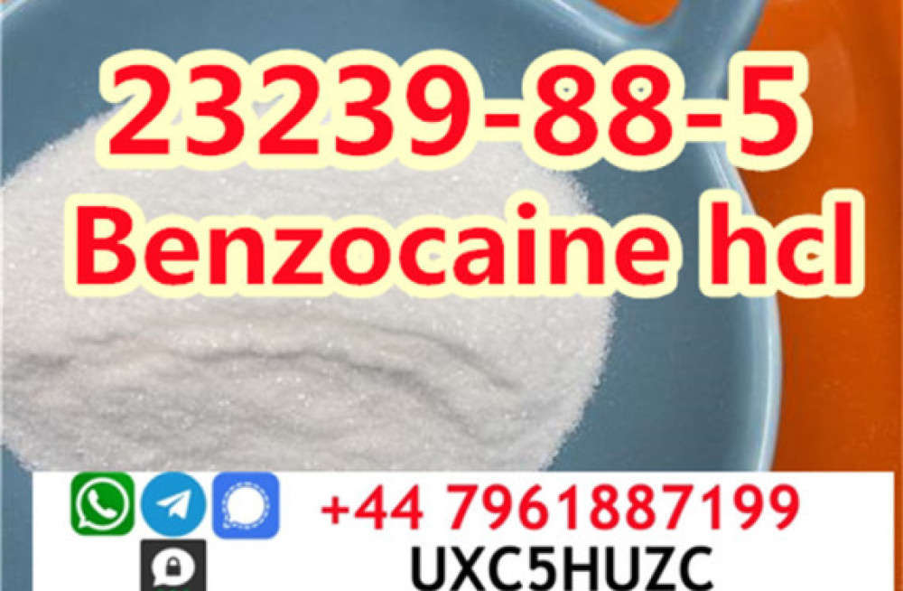 cas-23239-88-5-benzocaine-hydrochloridehcl-factory-direct-supply-big-0