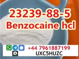 Cas 23239-88-5 Benzocaine Hydrochloride/hcl factory direct supply