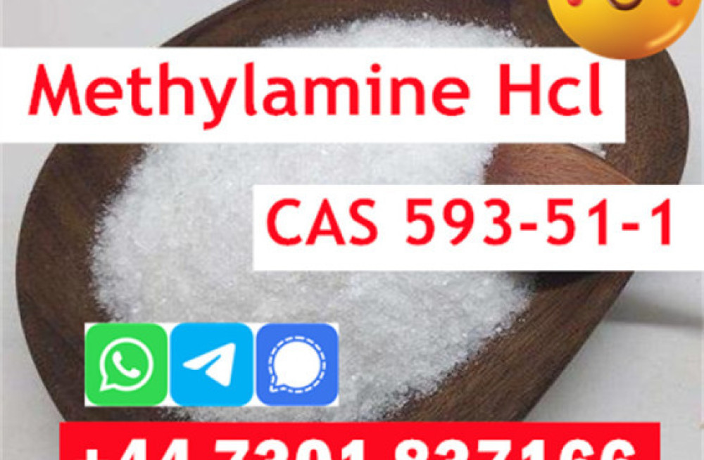 methylamine-hydrochloride-cas-593-51-1-in-stock-big-1