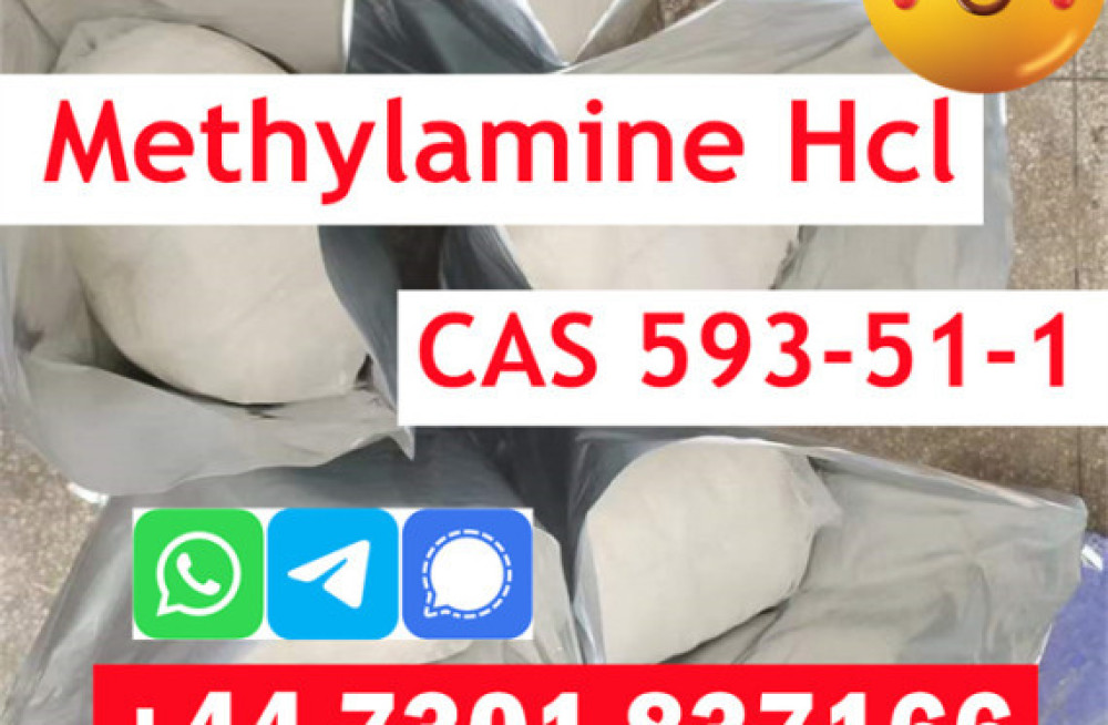 methylamine-hydrochloride-cas-593-51-1-in-stock-big-4