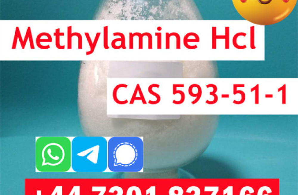 methylamine-hydrochloride-cas-593-51-1-in-stock-big-3