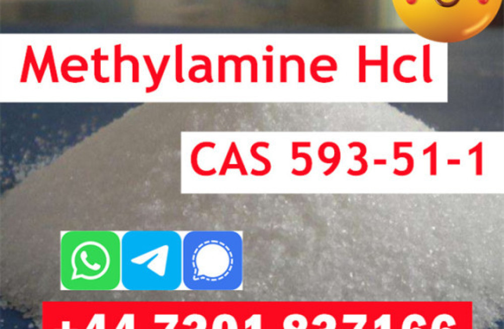 methylamine-hydrochloride-cas-593-51-1-in-stock-big-0