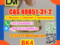 cas-49851-31-2-2-bromo-1-phenyl-1-pentanone-small-0