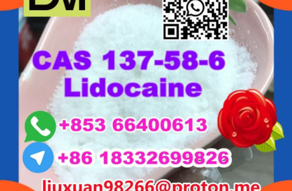 manufacturer-supply-raw-material-cas-137-58-6-lidocaine-big-1