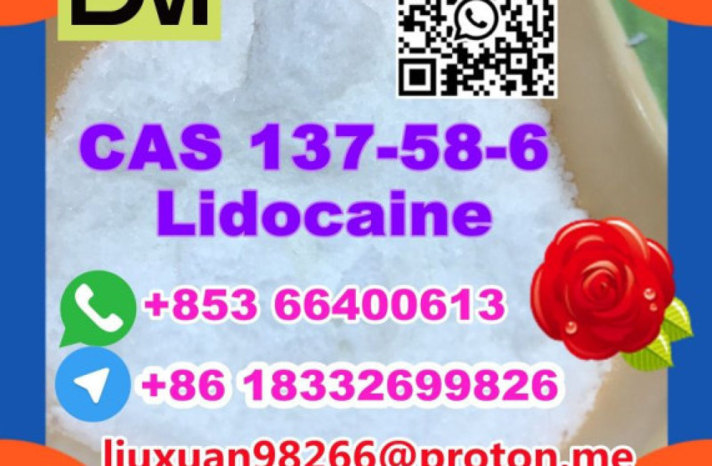 manufacturer-supply-raw-material-cas-137-58-6-lidocaine-big-4