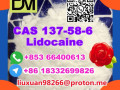 manufacturer-supply-raw-material-cas-137-58-6-lidocaine-small-2