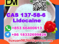 manufacturer-supply-raw-material-cas-137-58-6-lidocaine-small-1