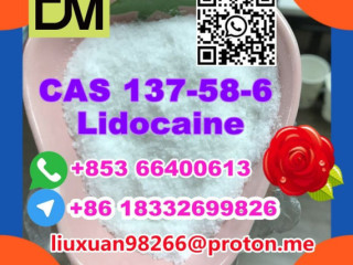 Manufacturer Supply Raw Material CAS 137-58-6 Lidocaine