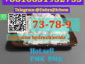 hot-sell-cas-59-46-1-pmk-bmk-2b4m-p2np-2b3c-8616631932753-small-1