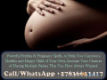 pregnancy-fertility-spells-to-help-you-conceive-a-healthy-and-happy-child-of-your-own-infertility-treatment-for-male-and-female-27836633417-small-0