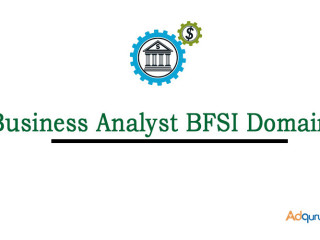 Business Analyst BFSI Domain Online Training From Hyderabad