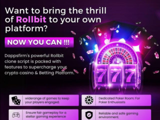 Rollbit Clone Script: Your Ticket to Success in the Crypto Gambling Market