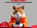 the-perfect-start-to-your-t2e-journey-hamster-kombat-clone-script-small-0