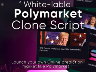 Prediction Game Platform Like Polymarket - Free Demo Offered