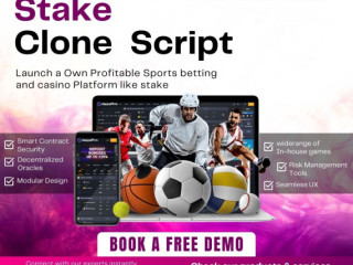 Whitelabel Stake Casino Clone Software – Minimal Cost, Maximum ROI