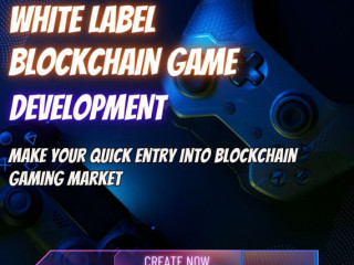 Step into the Future of Gaming – Year-End Offer on Blockchain Game Development