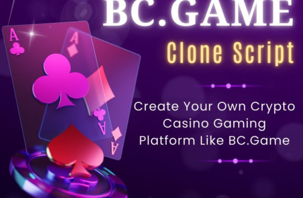 17-off-year-end-sale-build-your-crypto-casino-now-big-0