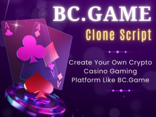 17% Off Year-End Sale: Build Your Crypto Casino Now!