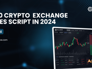 Top Cryptocurrency exchange clone script 2k24 ! ! !