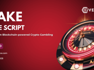 Build Your Future in Gambling industry with Our Stake Clone Script