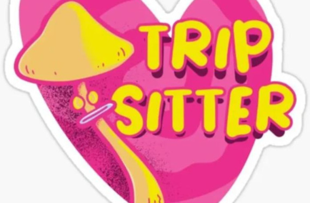 welcome-to-the-hello-trip-sitters-online-store-big-0