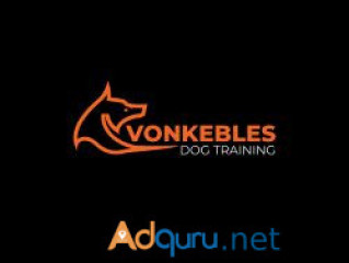 Premium Doggy Daycare in Sussex – Discover Vonkebles