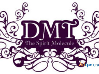 DMT FOR SALE.