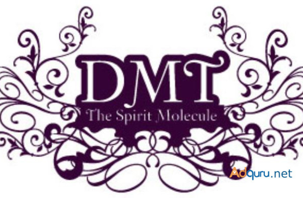 the-dmt-experience-big-0