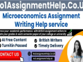 microeconomics-assignment-help-by-no1assignmenthelpcouk-small-0