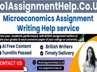 Microeconomics Assignment Help by No1AssignmentHelp.Co.Uk