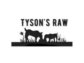 Premium Dog Collars at Tysons Raw UK